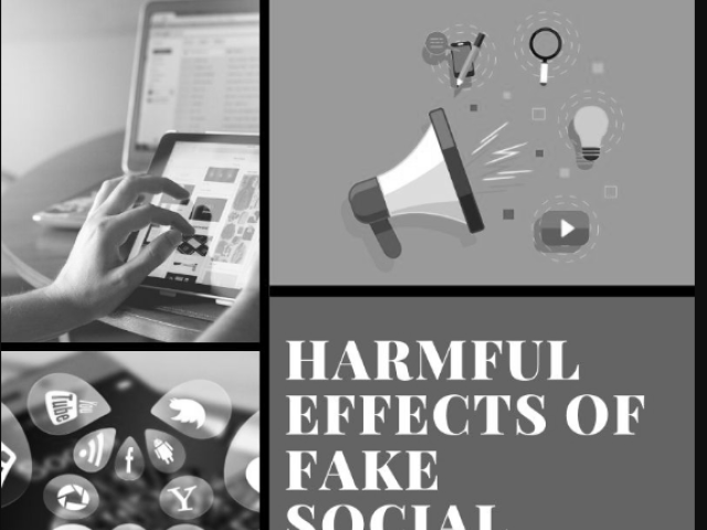 Fake social media and the harmful effects