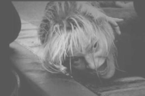 Mind Control victim goes apeshit on M6 motorway