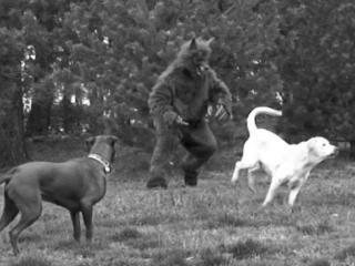 Extremely disturbing dogman footage
