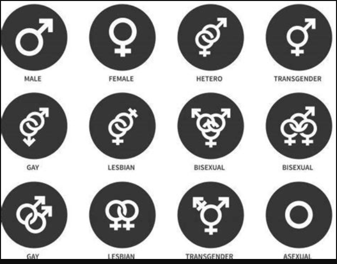 Gender chart for the 21st Century Gender chart for the 21st Century