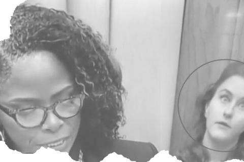 Stacy Plaskett and DOJ Staffer / Psy Operative